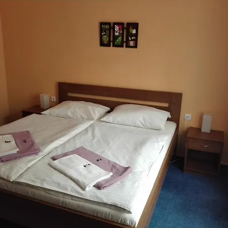 Hotel Venec 3*